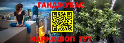 амф Новозыбков