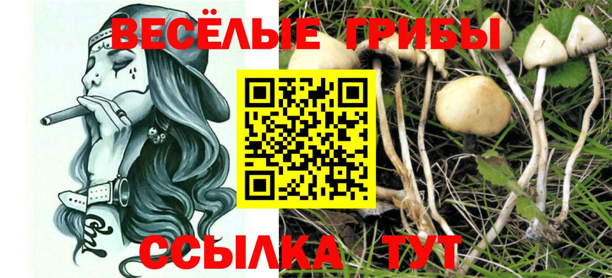 Галлюциногенные грибы мицелий  Вход с VPN  где найти   Севастополь  Псилоцибиновые грибы мухоморы 